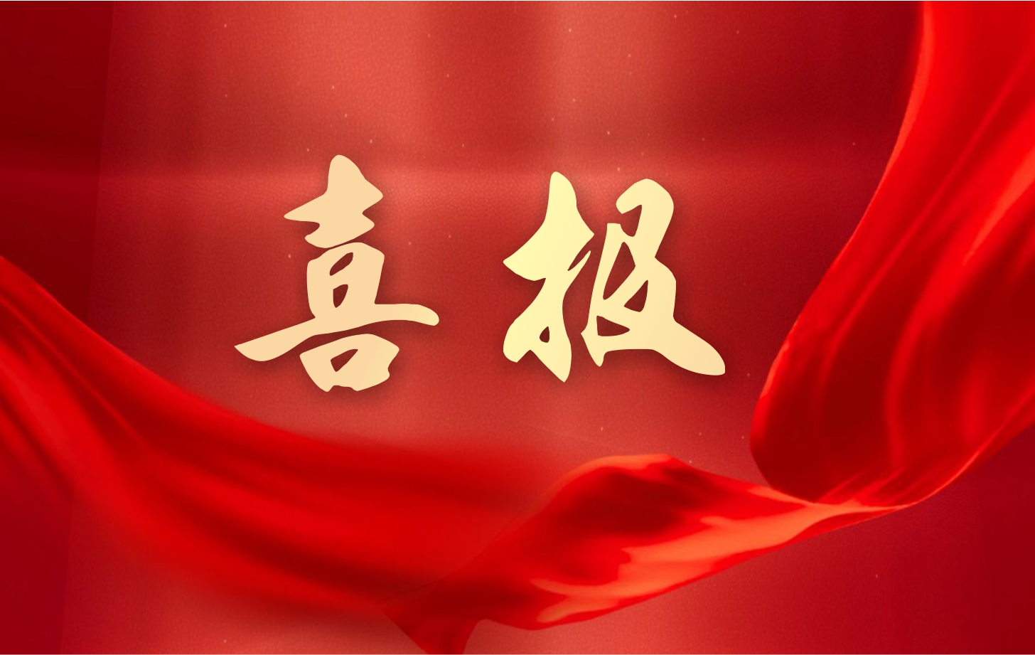 營收凈利雙增長！依頓電子2025年一季度經(jīng)營業(yè)績續(xù)寫高質(zhì)量發(fā)展華章